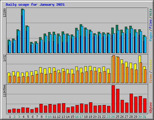 Daily usage for January 2021