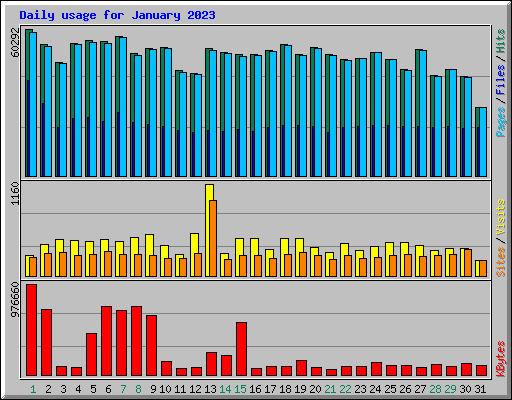 Daily usage for January 2023