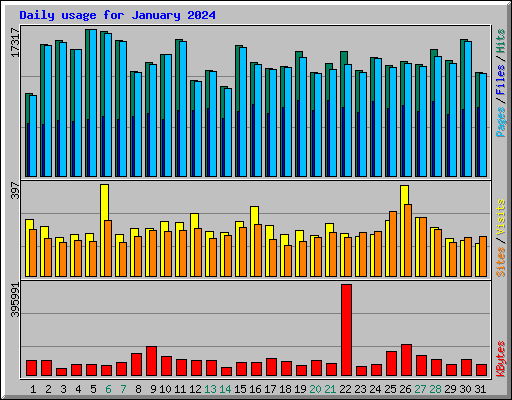 Daily usage for January 2024