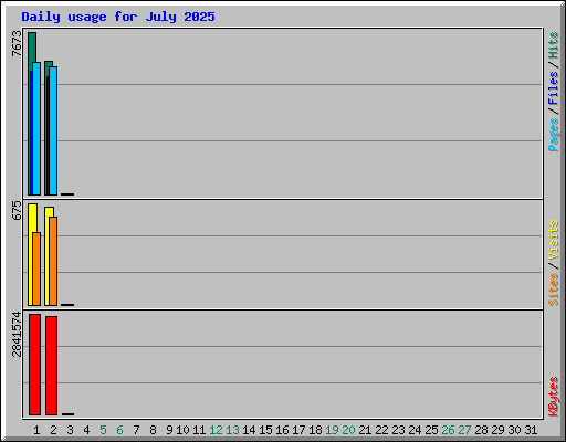 Daily usage for July 2025