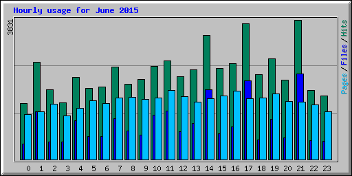 Hourly usage for June 2015