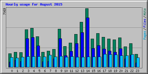 Hourly usage for August 2015