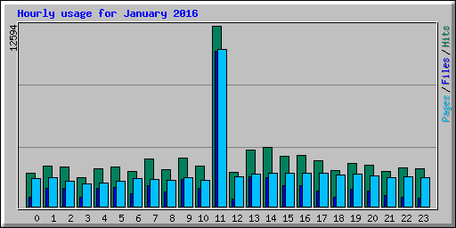 Hourly usage for January 2016