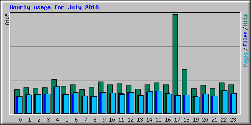 Hourly usage for July 2018