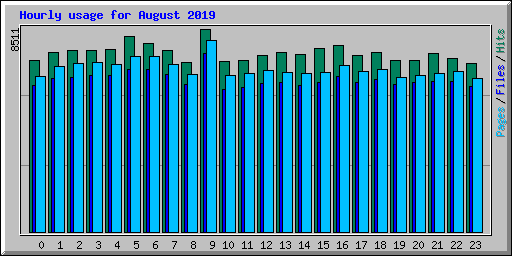 Hourly usage for August 2019