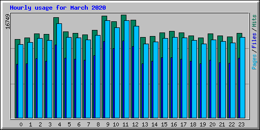 Hourly usage for March 2020