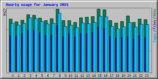 Hourly usage for January 2021