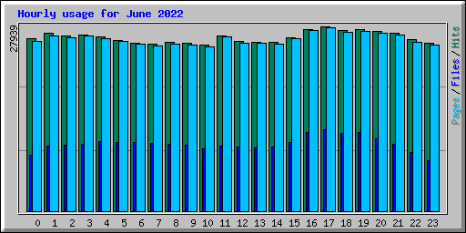 Hourly usage for June 2022