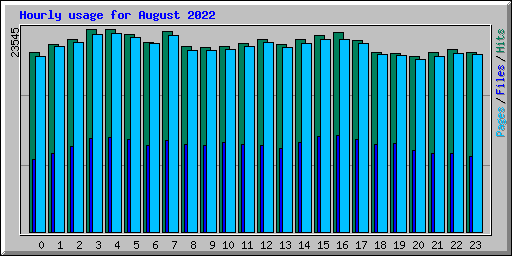 Hourly usage for August 2022