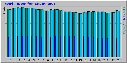 Hourly usage for January 2023