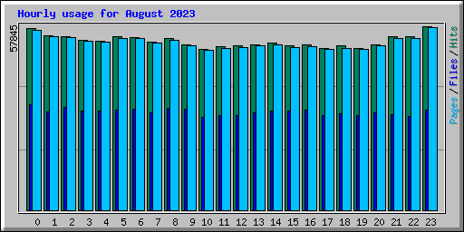 Hourly usage for August 2023