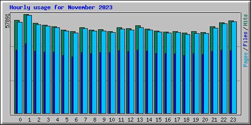 Hourly usage for November 2023