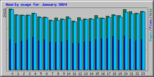 Hourly usage for January 2024