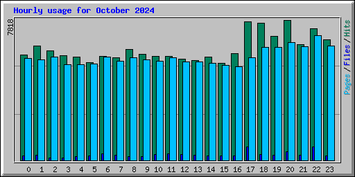 Hourly usage for October 2024