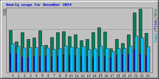 Hourly usage for December 2024