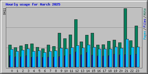 Hourly usage for March 2025