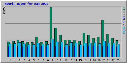 Hourly usage for May 2025