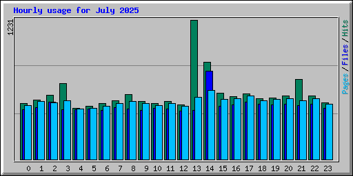 Hourly usage for July 2025