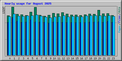 Hourly usage for August 2025